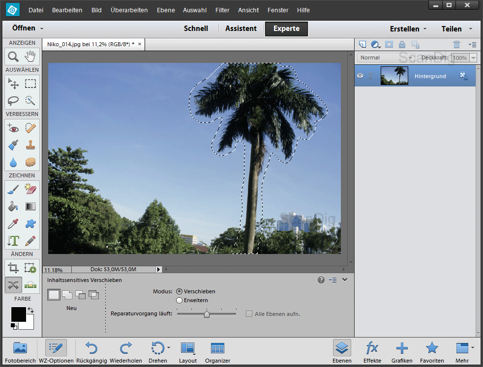 adobe photoshop elements 11 vs 12