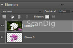 Die zwei Ebenen des aufgeteilten Bildes in der Ebenenpalette