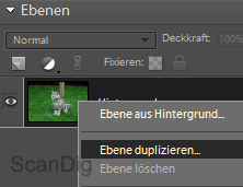 Kontextmenu, um eine neue Ebene zu erstellen.